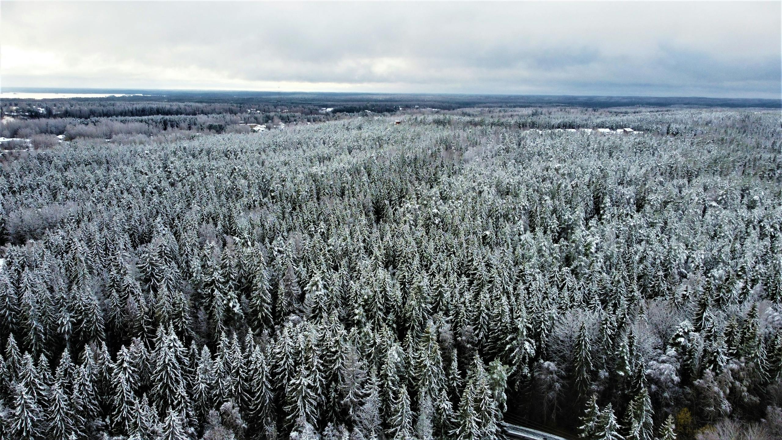 A breathtaking winter aerial of a snowy forest landscape in Nokia, Finland.
