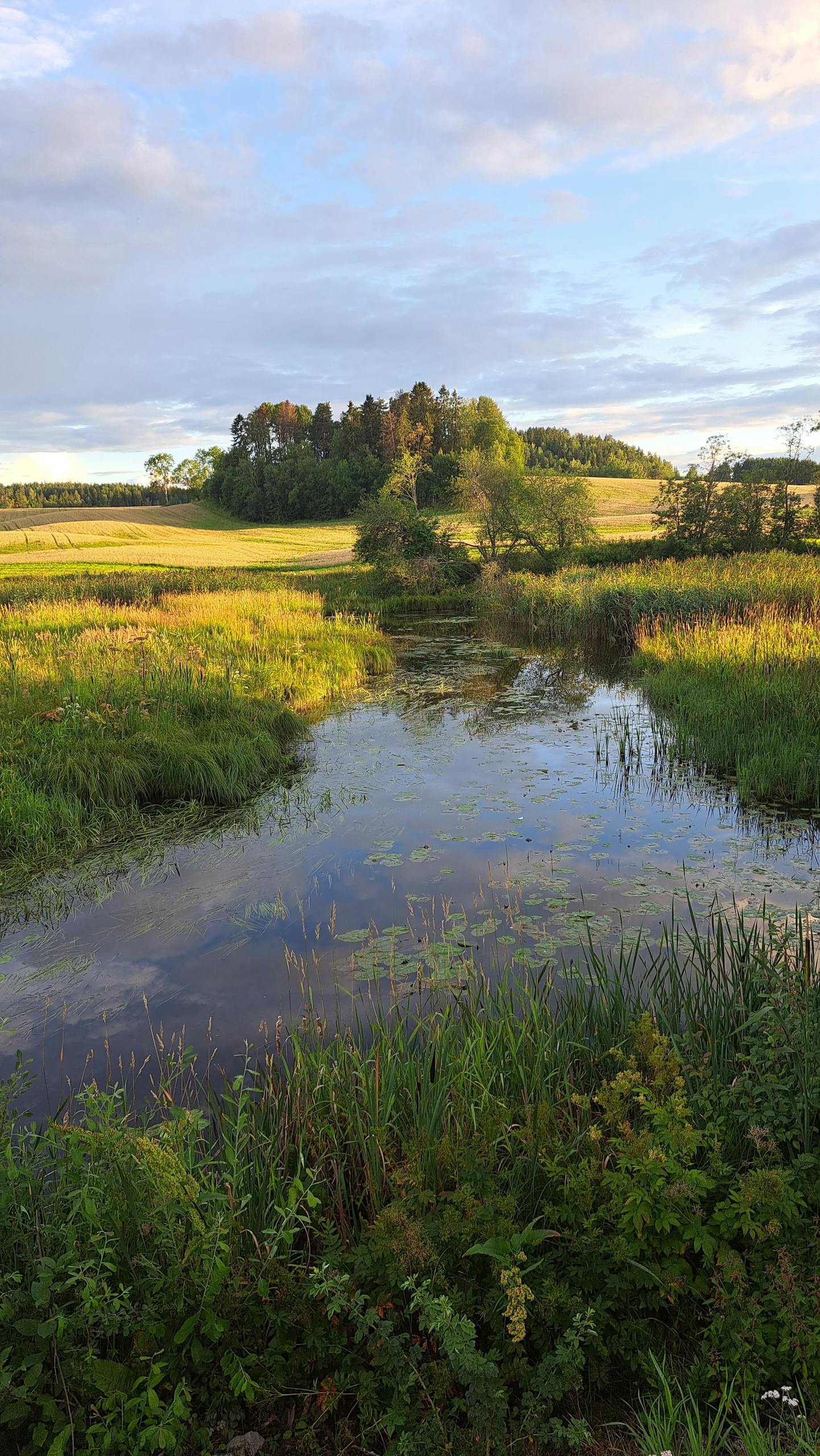 Peaceful rural landscape featuring a reflective river and lush fields under a summer sky.