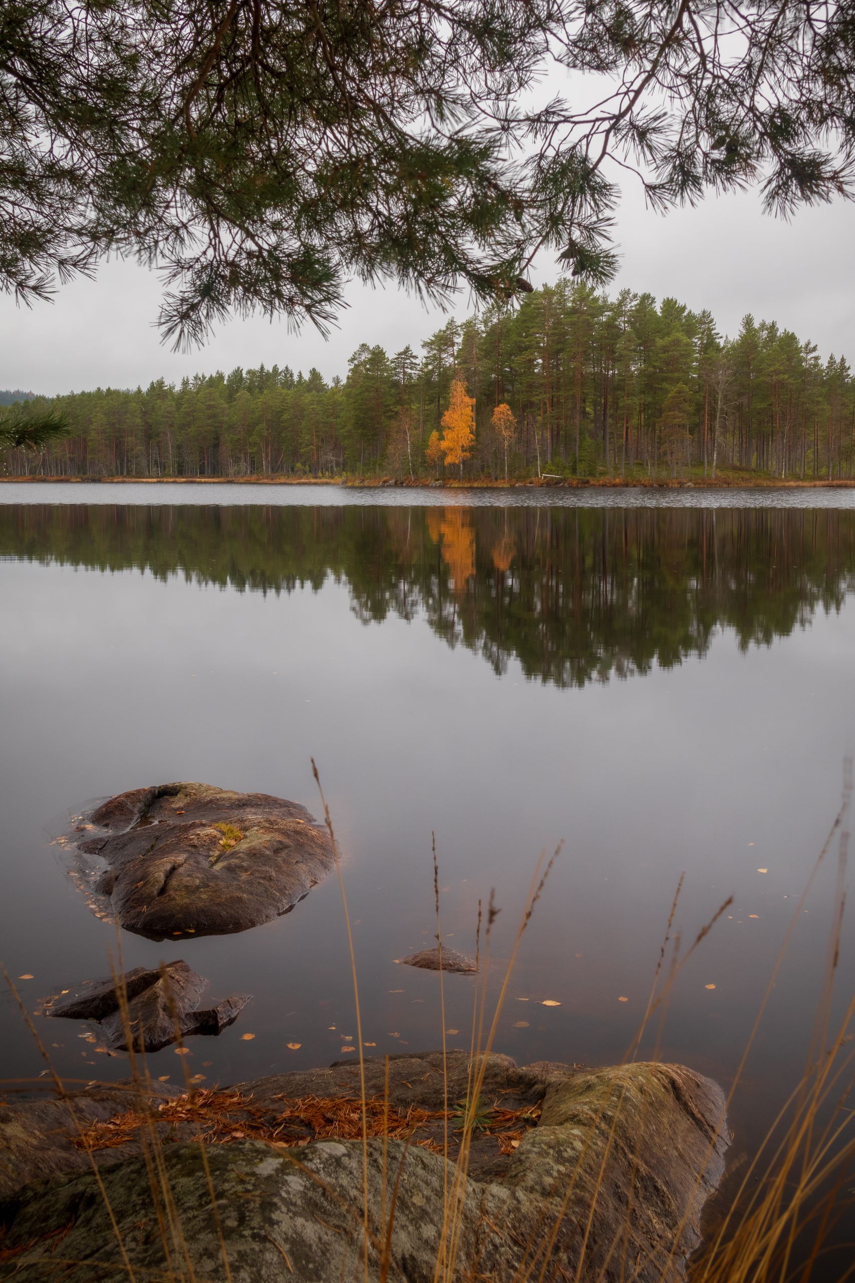 Ensiapukoulutus Jämsä