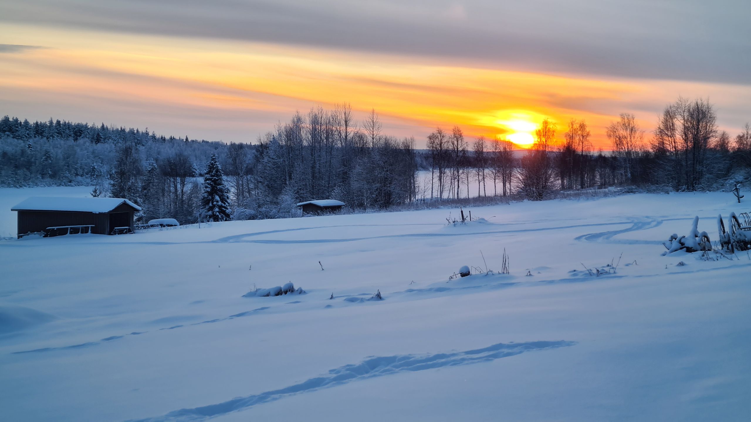 Ensiapukoulutus Orivedellä